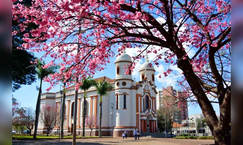 
							10 lugares para conhecer em Arapongas
						
						