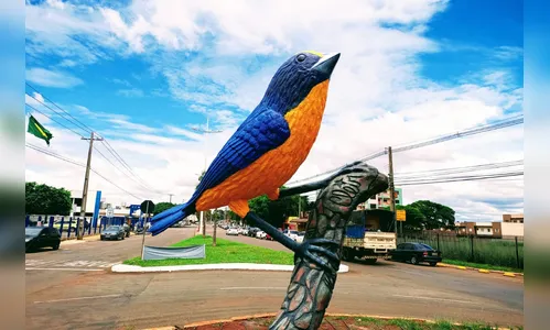 
							10 lugares para conhecer em Arapongas
						
						