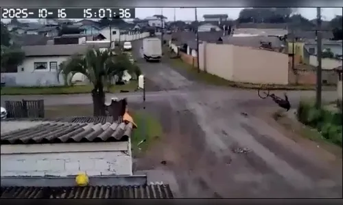 
							Ciclista de 71 anos é arremessado após fios puxarem bicicleta em SC
						
						