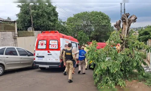 
							Atacada com facão, jovem de 19 anos tem dedo decepado pelo companheiro no PR
						
						
