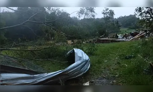 
							Ciclone chega a 'arrancar casa do lugar' em Santa Catarina
						
						