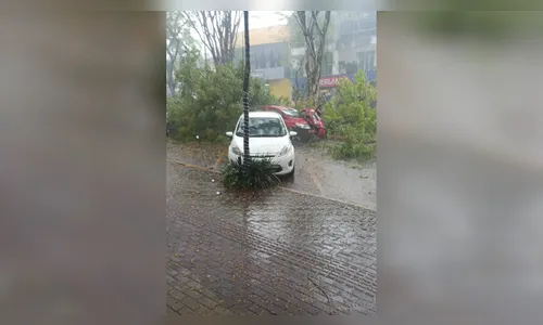 
							Ciclone já chegou em Santa Catarina; vento e granizo causam estragos
						
						