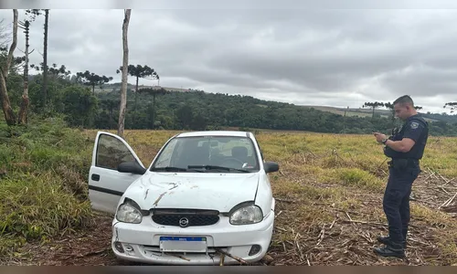 
							Apucarana registra seis furtos em apenas 19 horas; veja flagrante
						
						