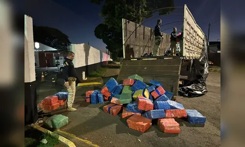 
							PRF apreende 5 toneladas de maconha entre Apucarana e Califórnia
						
						