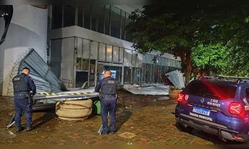 
							Tempestade e granizo causam estragos em Londrina no PR; veja
						
						