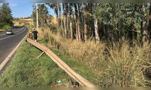 
							Jovem sobrevive após carro capotar seis vezes em barranco na PR-444
						
						