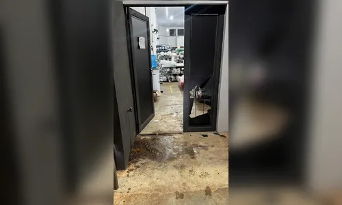 
							Ladrão tenta quebrar câmera de segurança para furtar fábrica e é flagrado
						
						