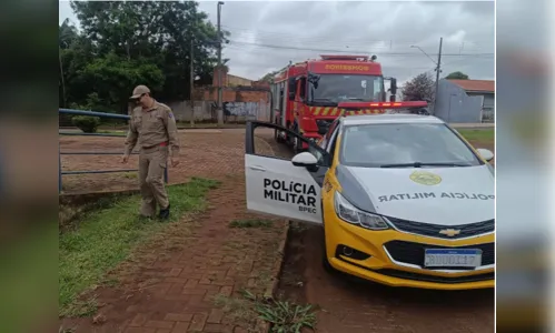 
							Cachorro é resgatado após cair em córrego em Ivaiporã
						
						