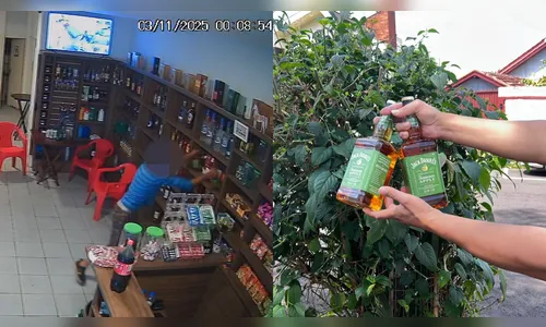 
							Garrafas de whisky furtadas em conveniência são encontradas em arbusto
						
						