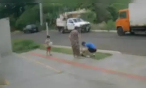 
							Homem é preso e multado em R$ 4 mil por agredir cachorro no Paraná
						
						