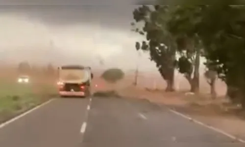 
							Ventania de 110 km/h assusta motoristas no Paraná; veja o vídeo
						
						