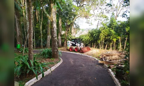
							Prefeitura de Apucarana fecha Bosque Municipal para reforma
						
						