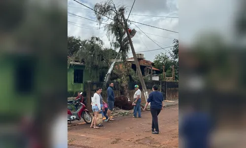 
							Temporal causa estragos e prefeitura trabalha em Nova Amoreira
						
						