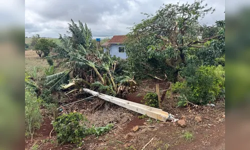 
							Temporal causa estragos e prefeitura trabalha em Nova Amoreira
						
						