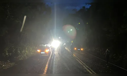 
							Temporal derruba árvores na BR-376 e afeta tráfego na Serra do Cadeado
						
						
