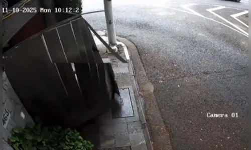 
							Mulher tenta fugir de motel sem pagar e é presa em flagrante em SP
						
						