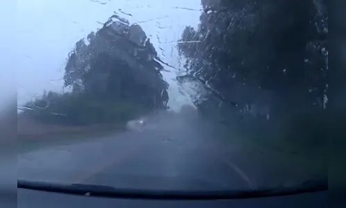 
							Vídeo mostra batida entre veículos que deixou cinco feridos em Faxinal
						
						