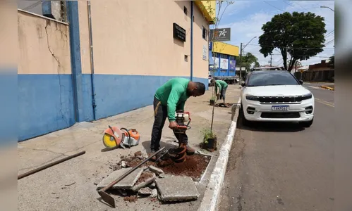 
							Apucarana inicia ações do programa Mais Verde e Sustentável
						
						