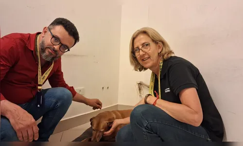 
							Vira-lata Juca conquista comerciantes e vira xodó no centro de Apucarana (PR)
						
						