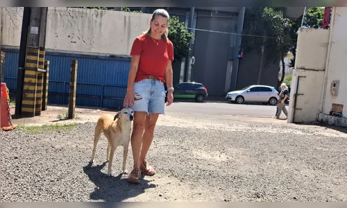 
							Vira-lata Juca conquista comerciantes e vira xodó no centro de Apucarana (PR)
						
						