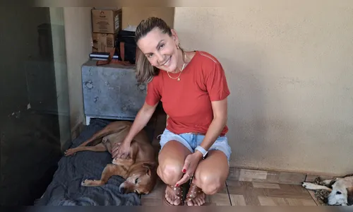 
							Vira-lata Juca conquista comerciantes e vira xodó no centro de Apucarana (PR)
						
						