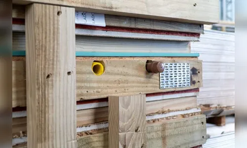 
							Moradores de Rio Bonito do Iguaçu terão casas pré-fabricadas
						
						