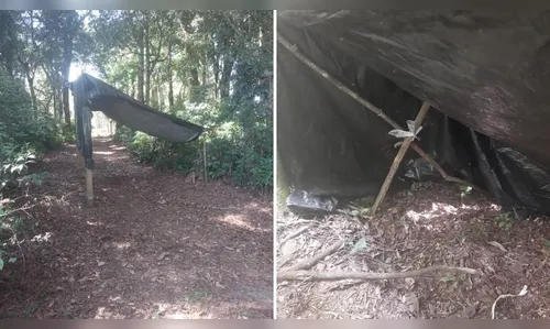 
							Mulher de Goiás é resgatada em mata no PR a 1,1 mil km de casa
						
						