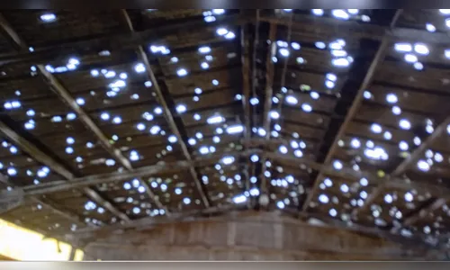 
							Seis cidades já decretaram emergência após fortes temporais em SC
						
						