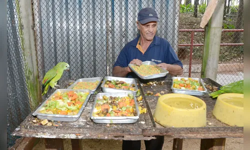 
							Bosque Municipal, uma história de mais de 60 anos
						
						