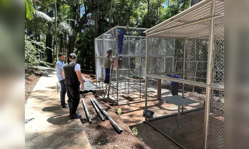 
							Bosque Municipal, uma história de mais de 60 anos
						
						