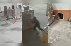 Câmeras registram invasão a transportadora e fuga de criminosos em Apucarana (PR)