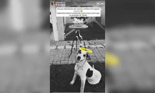 
							Violência contra animais: cachorro comunitário é morto a tiros no Paraná
						
						