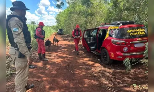 
							Após ser sequestrada, menina de 8 anos é localizada morta no noroeste do Paraná
						
						
