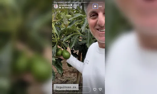 
							Apresentador da Globo tem fazenda com plantação do tamanho de 35 campos de futebol; saiba quem
						
						