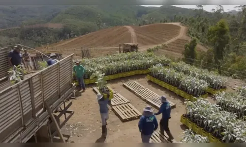 
							Apresentador da Globo tem fazenda com plantação do tamanho de 35 campos de futebol; saiba quem
						
						
