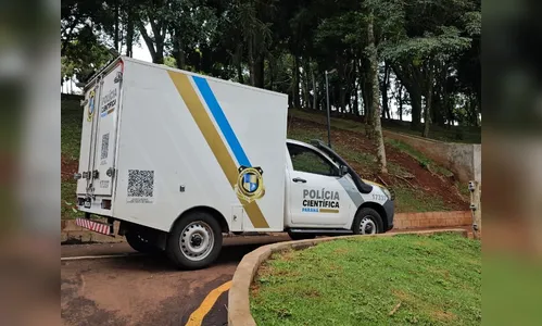 
							Bebê é encontrado morto no Parque dos Pássaros em Arapongas
						
						