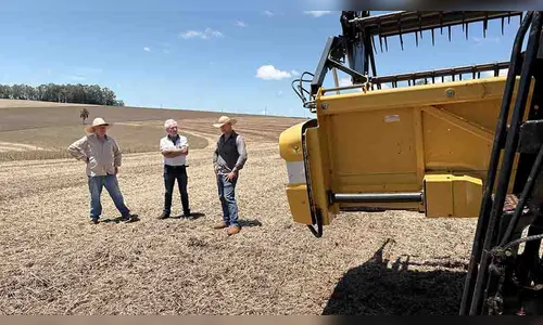 
							Estiagem de janeiro afeta potencial produtivo da soja no Vale do Ivaí
						
						