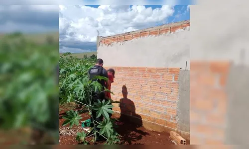 
							Homem flagrado jogando cachorro em riacho é preso novamente no PR
						
						