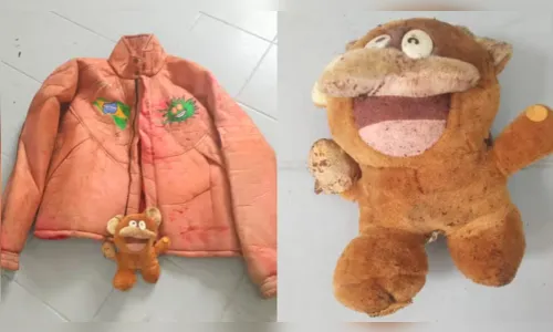 
							Mamonas Assassinas: veja as fotos da jaqueta e da pelúcia encontradas na exumação
						
						