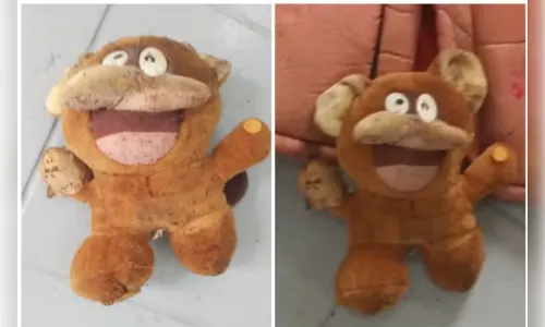 
							Mamonas Assassinas: veja as fotos da jaqueta e da pelúcia encontradas na exumação
						
						