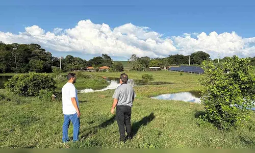 
							Programa incentiva piscicultura e amplia oportunidades no campo em Ivaiporã
						
						