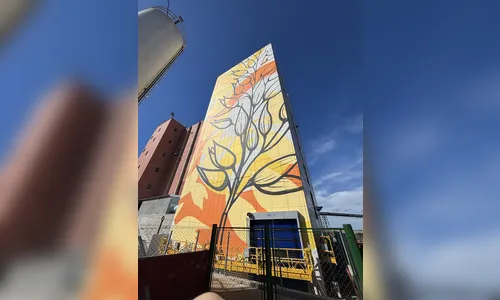 
							Arte urbana transforma moinho em marco visual na Rodovia do Café
						
						
