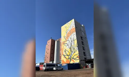 
							Arte urbana transforma moinho em marco visual na Rodovia do Café
						
						