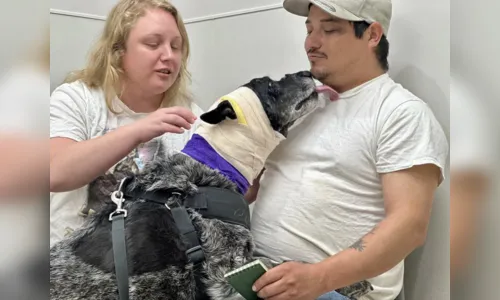 
							Cachorrinha idosa com deficiência visual enfrenta urso para proteger família
						
						