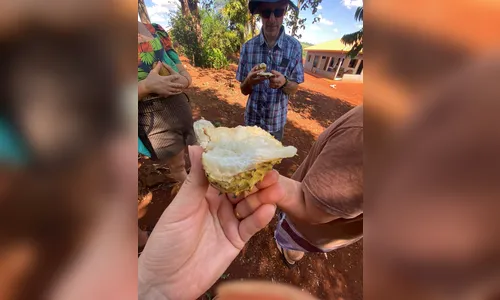 
							Canadenses visitam cidade da região para rever estudante intercambista
						
						
