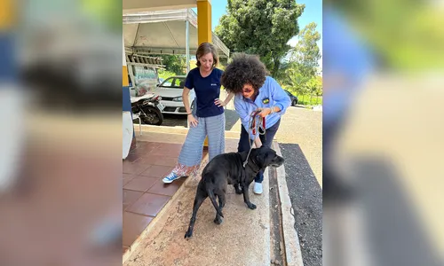 
							Cão idoso há mais tempo em centro de adoção de Apucarana ganha família após 4 anos de espera
						
						