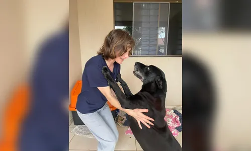 
							Cão idoso há mais tempo em centro de adoção de Apucarana ganha família após 4 anos de espera
						
						