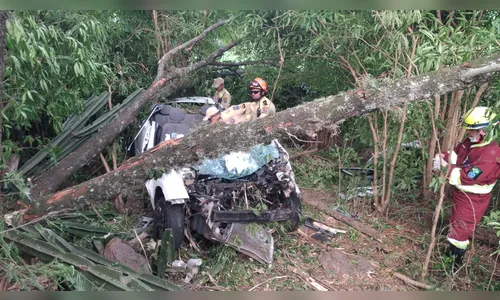 
							Sequência de acidentes no Contorno Norte acende alerta sobre segurança
						
						