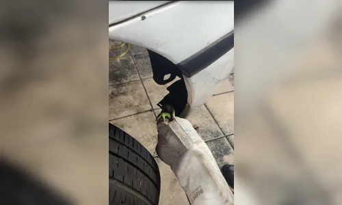 
							Cobra é encontrada dentro de motor de carro em oficina de Apucarana; veja
						
						
