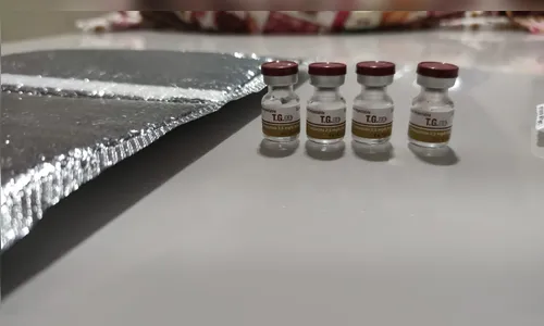 
							Gaeco mira policiais civis em operação contra venda de emagrecedores proibidos
						
						